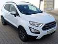 Ford EcoSport Cool&Connect*Stand-Hzg*NAVI*PDC*SiHz*KLIMA*LederL* White - thumbnail 2