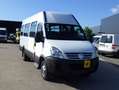 Iveco Daily IRISBUS (Stock ID 85942) Blanc - thumbnail 3