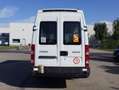 Iveco Daily IRISBUS (Stock ID 85942) Blanc - thumbnail 6