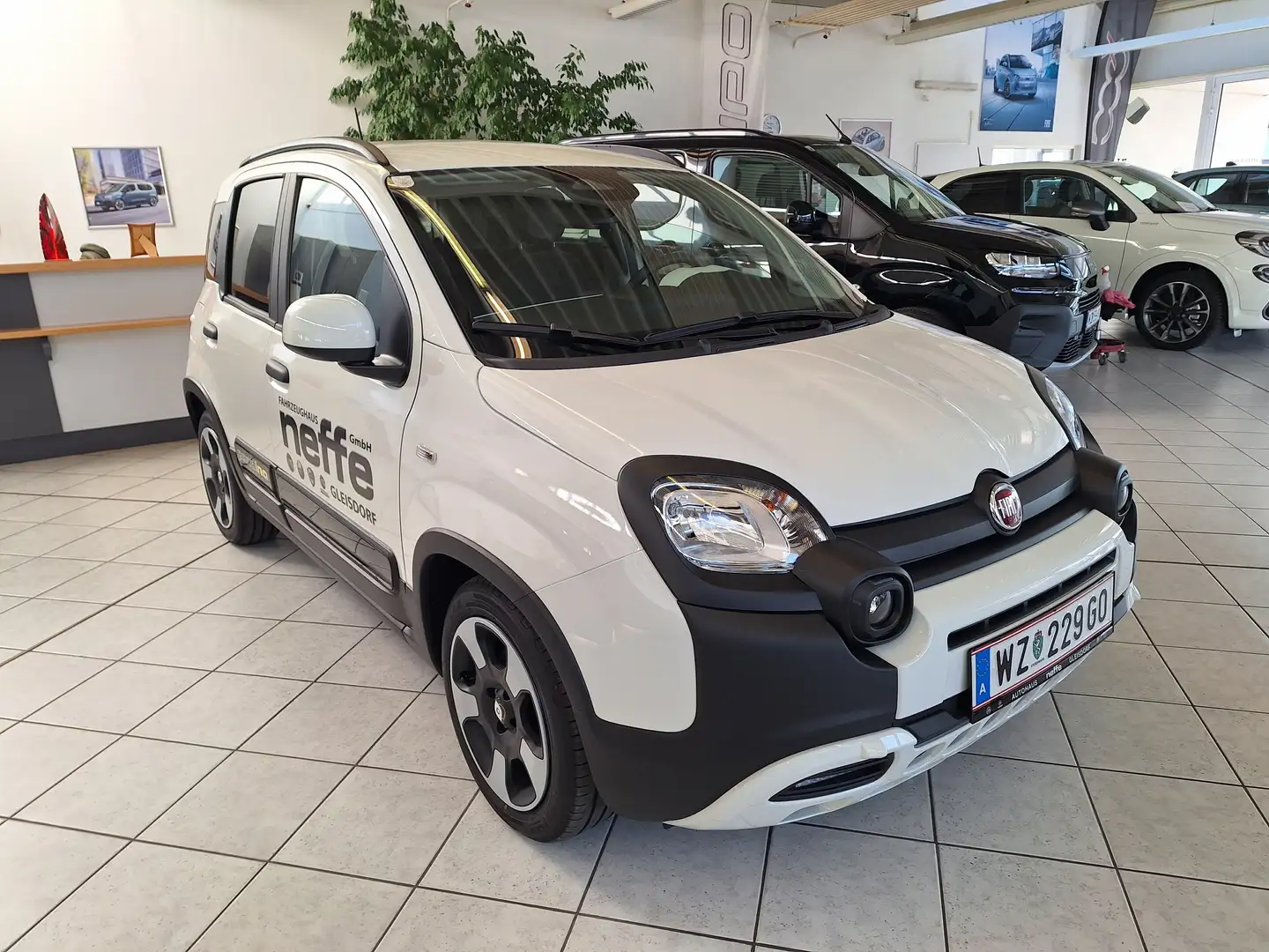 Fiat Panda 4x2 FireFly Hybrid 70 Pandina Bianco - 1