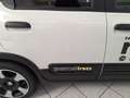 Fiat Panda 4x2 FireFly Hybrid 70 Pandina Bianco - thumbnail 8