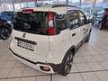 Fiat Panda 4x2 FireFly Hybrid 70 Pandina Bianco - thumbnail 7