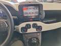 Fiat Panda 4x2 FireFly Hybrid 70 Pandina Weiß - thumbnail 16
