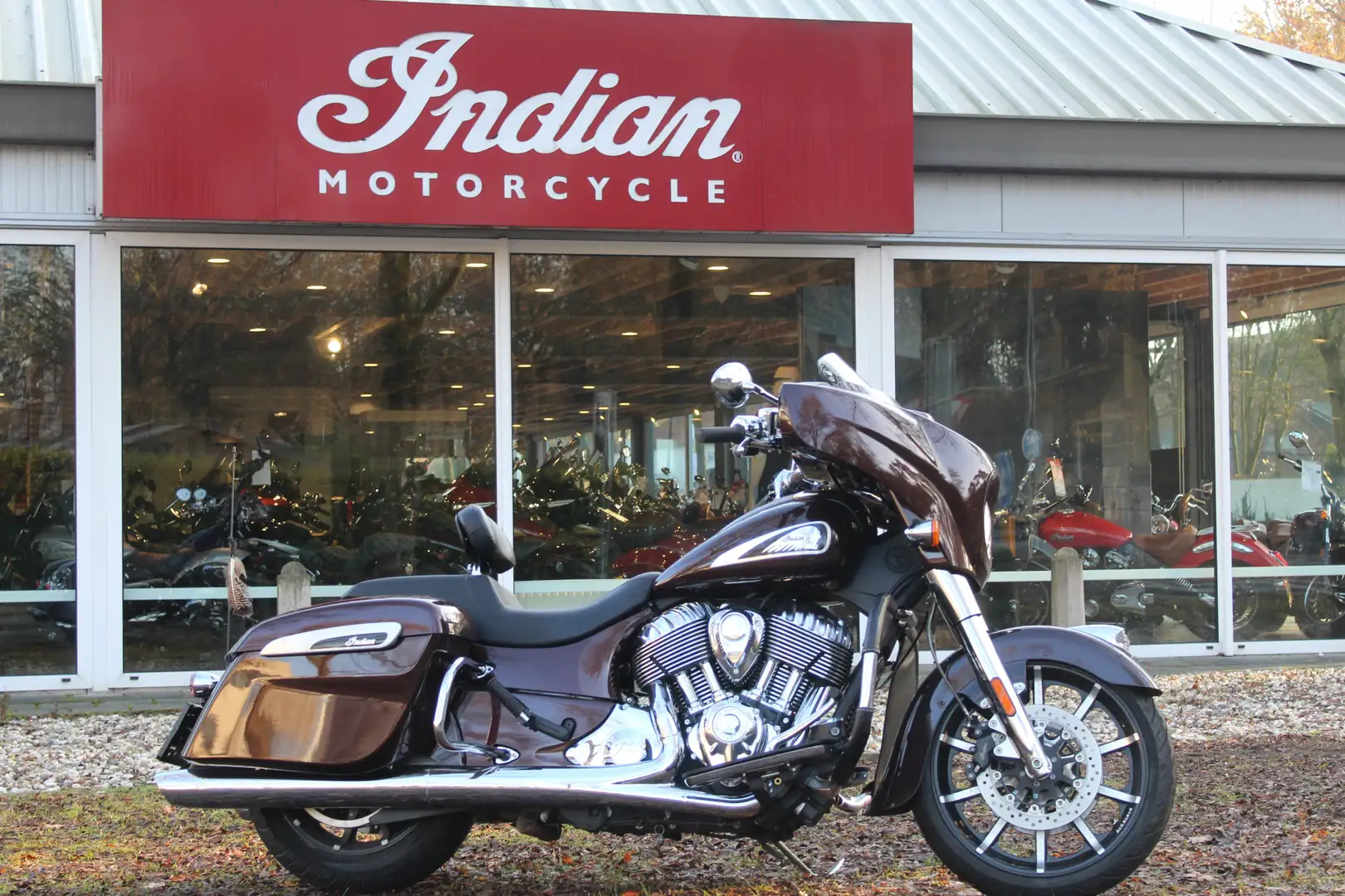 Indian Chieftain Marrone - 1