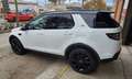 Land Rover Discovery Sport 2.0TD4 HSE Luxury 4x4 Aut. 180 Blanco - thumbnail 4