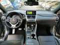 Lexus NX 300 Hybrid 4WD F-Sport Grigio - thumbnail 14