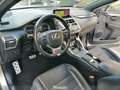 Lexus NX 300 Hybrid 4WD F-Sport Grigio - thumbnail 13