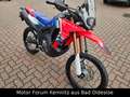 Honda CRF 300 L RALLY Modell 2025 Rojo - thumbnail 6