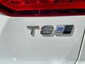 Volvo V60 T8 AWD Twin Engine Geartronic R-Design - 81500km Blanc - thumbnail 4