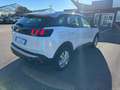 Peugeot 3008 3008 1.5 bluehdi Business tg: FT845ET Bianco - thumbnail 6