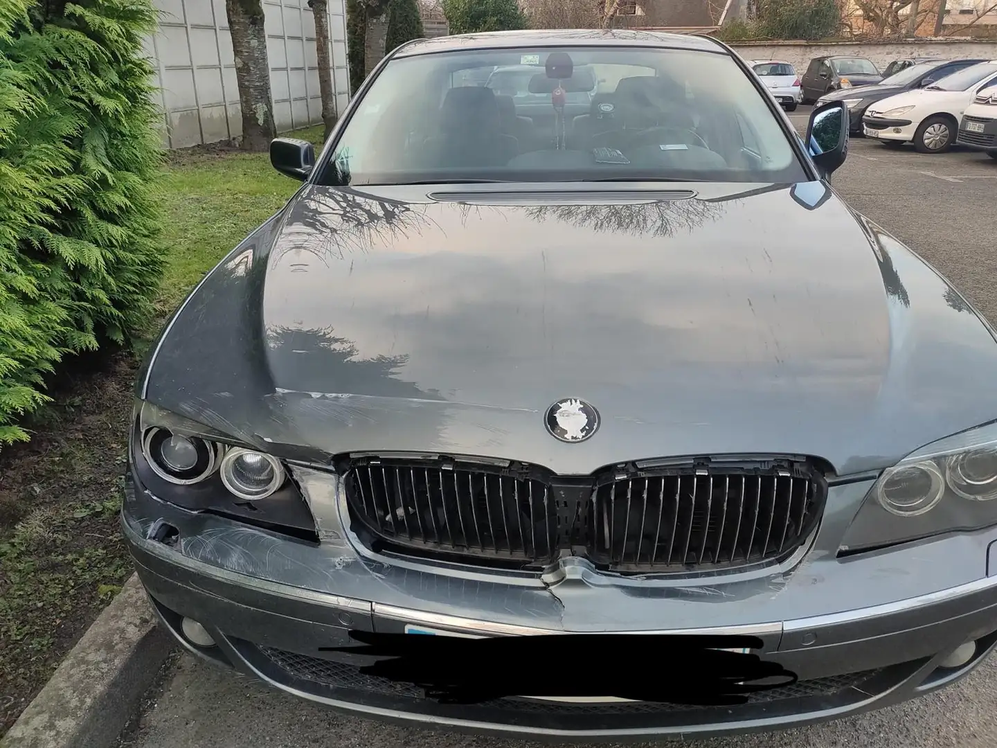 BMW 730 730Ld Exclusive A Gris - 2