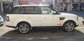 Land Rover Range Rover Sport 3.0 tdV6 HSE Auto-Motore Nuovo rifatto Completo Bianco - thumbnail 6