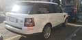 Land Rover Range Rover Sport 3.0 tdV6 HSE Auto-Motore Nuovo rifatto Completo Bianco - thumbnail 5