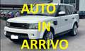 Land Rover Range Rover Sport 3.0 tdV6 HSE Auto-Motore Nuovo rifatto Completo Weiß - thumbnail 2