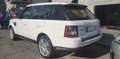 Land Rover Range Rover Sport 3.0 tdV6 HSE Auto-Motore Nuovo rifatto Completo Bianco - thumbnail 2