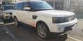 Land Rover Range Rover Sport 3.0 tdV6 HSE Auto-Motore Nuovo rifatto Completo Bianco - thumbnail 4