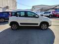 Fiat Panda 0.9 TwinAir Turbo 4x4 GPL Blanco - thumbnail 4