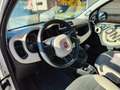Fiat Panda 0.9 TwinAir Turbo 4x4 GPL Blanco - thumbnail 26