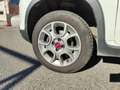 Fiat Panda 0.9 TwinAir Turbo 4x4 GPL Blanco - thumbnail 9