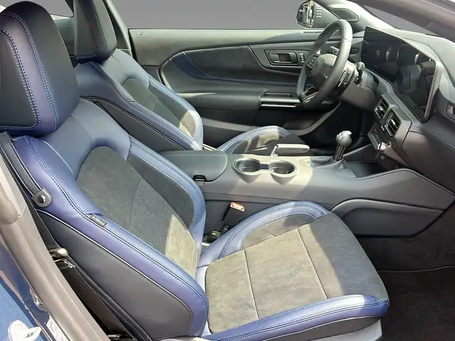 Ford Mustang view 12
