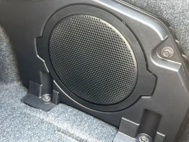 Ford Mustang view 15