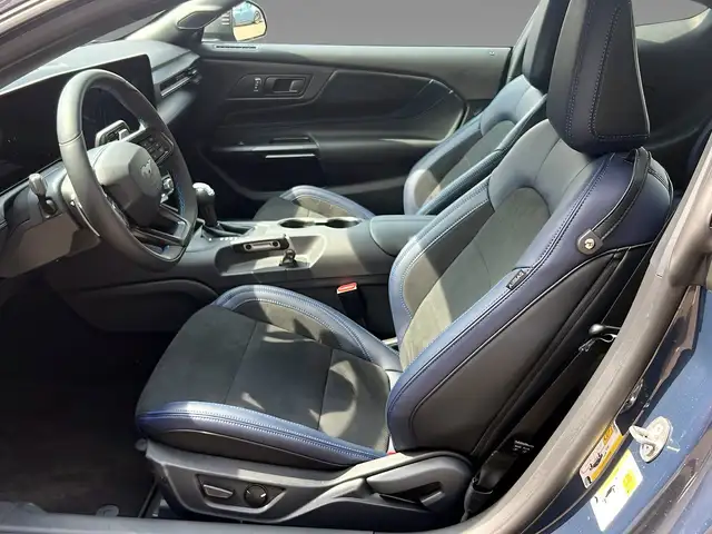 Ford Mustang view 9