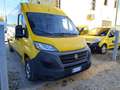 Fiat Ducato 33 2.3 MJT 120CV PLM-TM Giallo - thumbnail 7