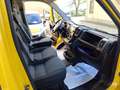 Fiat Ducato 33 2.3 MJT 120CV PLM-TM Giallo - thumbnail 14