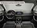 Skoda Karoq 2.0 TDI SCR 115 CV Selection Argento - thumbnail 10