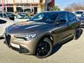 Alfa Romeo Stelvio 2.2 210cv AT8 Q4 Executive *Motore nuovo* Grigio - thumbnail 1