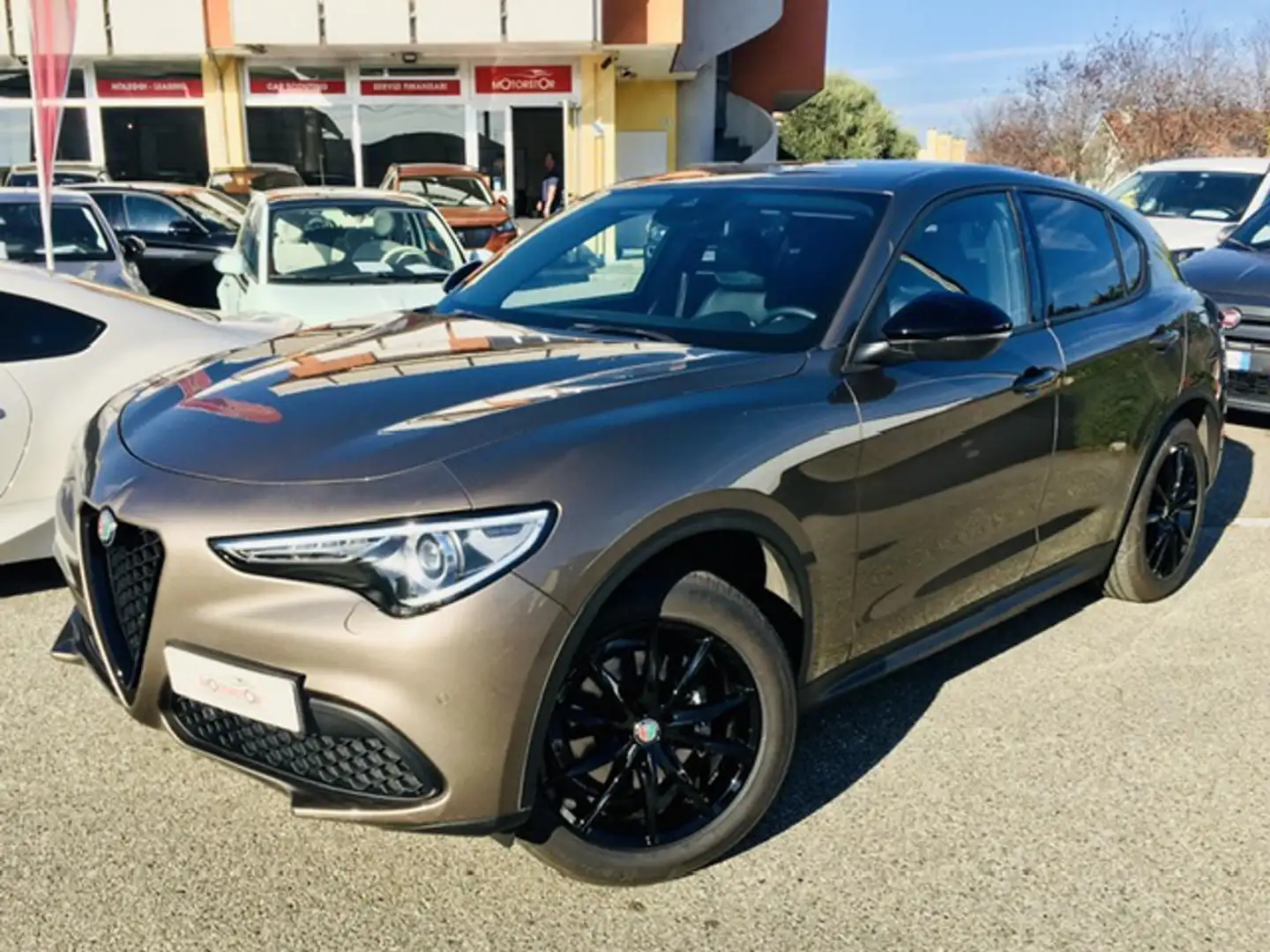 Alfa Romeo Stelvio 2.2 210cv AT8 Q4 Executive *Motore nuovo* Grigio - 1