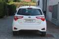 Toyota Yaris 1.5 Hybrid 5 porte Active Blanc - thumbnail 5