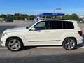 Mercedes-Benz GLK 220 GLK 220 cdi Sport Full edition Weiß - thumbnail 8