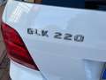 Mercedes-Benz GLK 220 GLK 220 cdi Sport Full edition Weiß - thumbnail 46