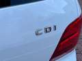 Mercedes-Benz GLK 220 GLK 220 cdi Sport Full edition Weiß - thumbnail 47