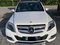Mercedes-Benz GLK 220 GLK 220 cdi Sport Full edition Weiß - thumbnail 2