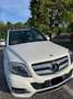 Mercedes-Benz GLK 220 GLK 220 cdi Sport Full edition Weiß - thumbnail 12
