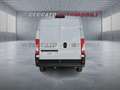 Fiat Ducato Ducato Furgone Lastrato 35q Lh2 140cv 2.2 Multije Bianco - thumbnail 5