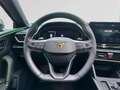 CUPRA Leon 1,5 eTSI 150Cv DSG Rouge - thumbnail 14