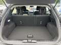 Ford Flex 1.0 Flexifuel 125ch S\u0026S mHEV Titanium Gris - thumbnail 13
