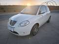 Lancia Ypsilon 1.3JTD Armand Basi Weiß - thumbnail 12