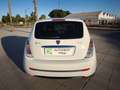 Lancia Ypsilon 1.3JTD Armand Basi Weiß - thumbnail 15
