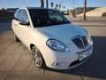 Lancia Ypsilon 1.3JTD Armand Basi Weiß - thumbnail 11