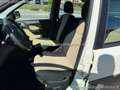 Fiat Panda 1.3 MJT 16V DPF 4x4 Cross Fehér - thumbnail 13
