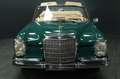 Mercedes-Benz 250 SE Cabrio Grün - thumbnail 9