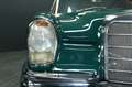 Mercedes-Benz 250 SE Cabrio Grün - thumbnail 43