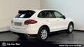 Porsche Cayenne Diesel BI-XENON-PANO-KAM-AHK-PCM Blanc - thumbnail 5