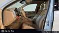 Porsche Cayenne Diesel BI-XENON-PANO-KAM-AHK-PCM Blanc - thumbnail 12