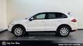 Porsche Cayenne Diesel BI-XENON-PANO-KAM-AHK-PCM Blanc - thumbnail 2