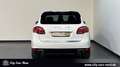 Porsche Cayenne Diesel BI-XENON-PANO-KAM-AHK-PCM Blanc - thumbnail 4
